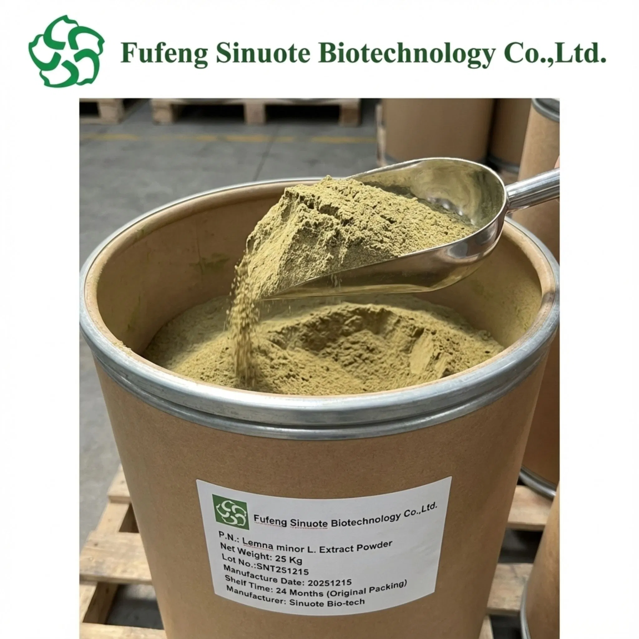 Lemna Minor L. Extract Powder Common Duckweed Extract Aquatic Plant Source Ingredient cGMP Standard