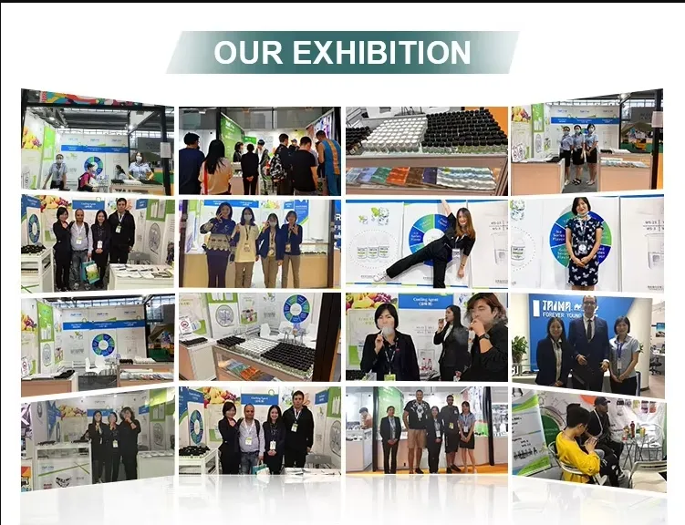 Industry Exhibition Display