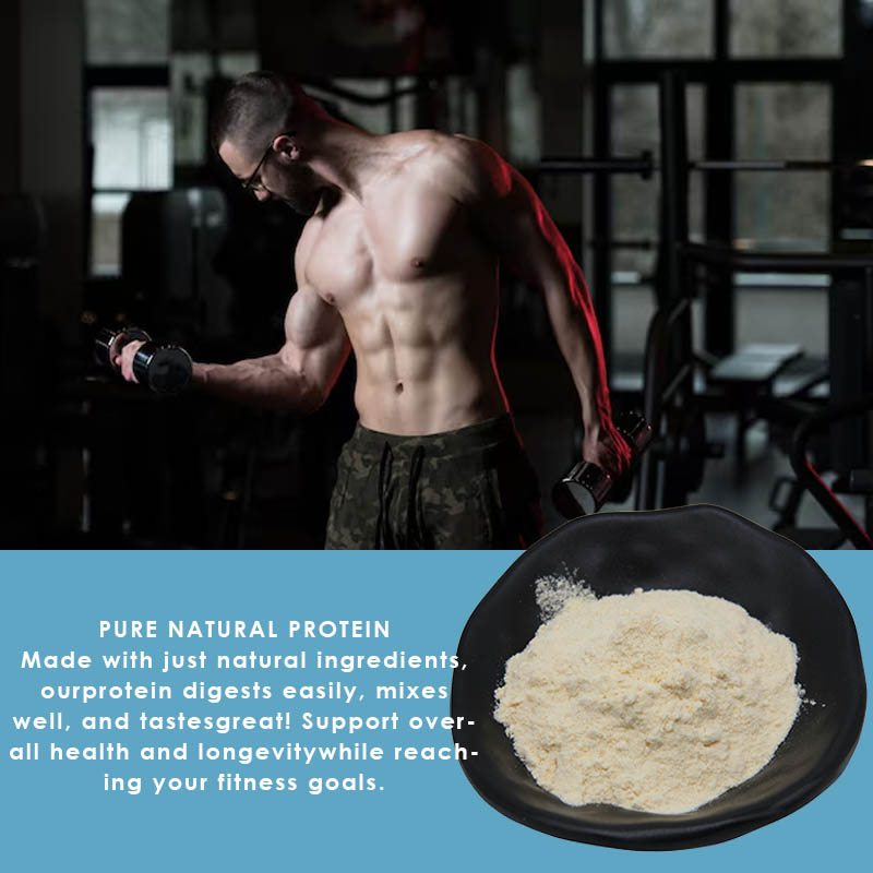 Bulk Sale Whey Protein Powder Adult Protein Supplement For Men And Women Strong Muscle Weight Gain