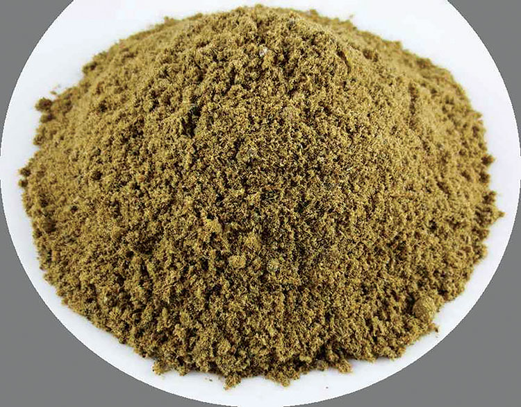 PREMIUM WHOLESALE FISH MEAL SUPPLIER TOP SALES HOT DEAL BULK EXPORT HIGH PROTEIN FEED ADDITIVE FACTORY DIRECT