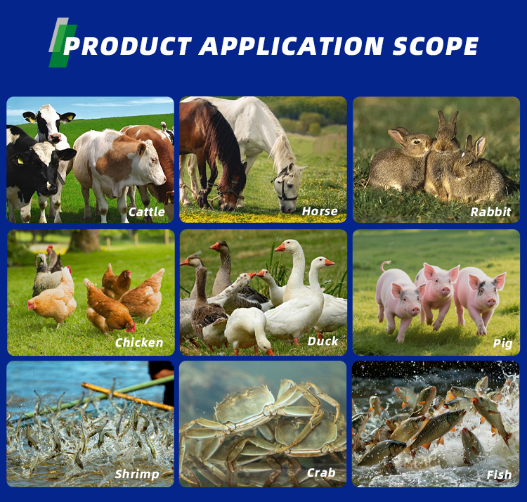 Feed Grade - Monocalcium Phosphate - MCP Addictive Powder For Aquatic Animals And Young Livestock