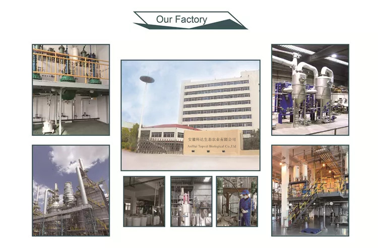 Company Facility