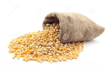 Mycotoxin Adsorption