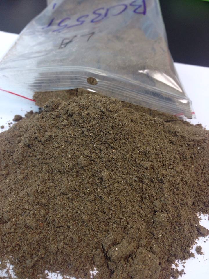 Fish Meal 80% Protein