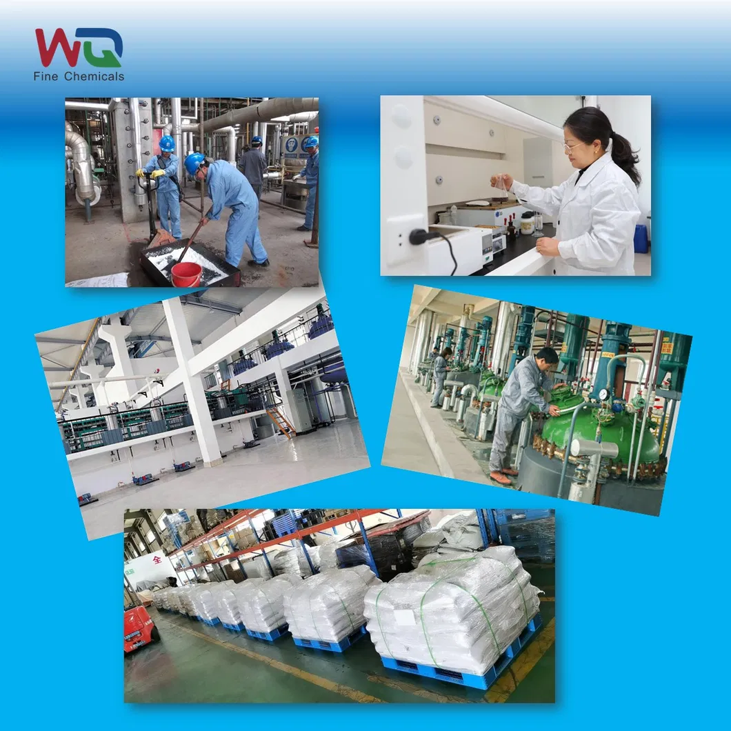 factory overview for feed additives