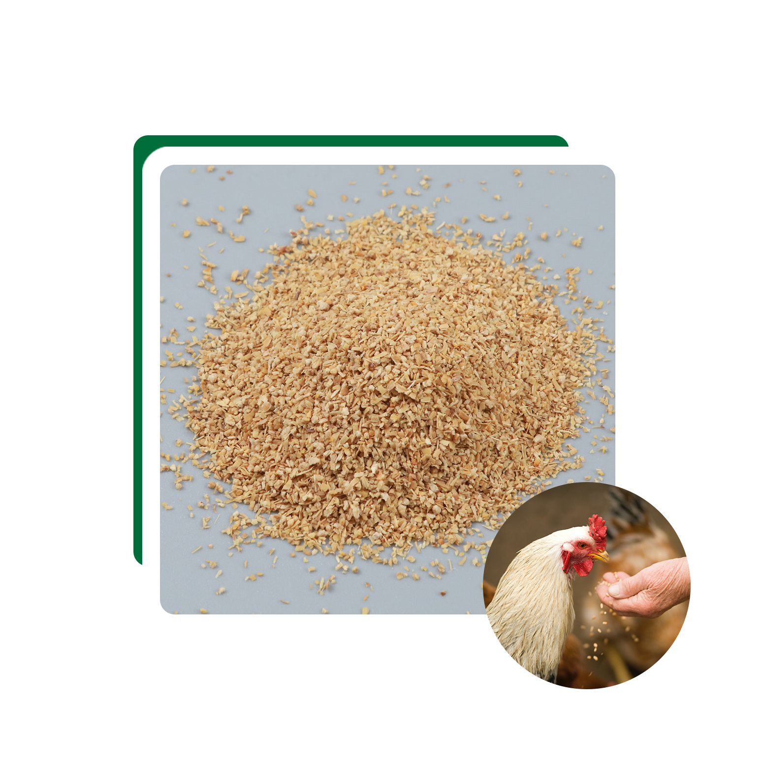 Factory Wholesale Price Feed Grade Choline Chloride 50% 60% 70% Powder CAS 67-48-1