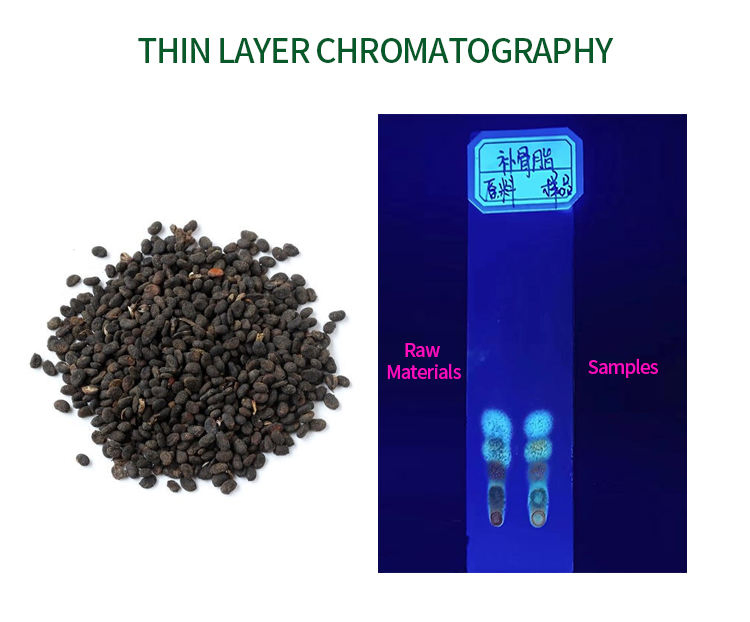High Quality Bakuchiol Extract Powder Feed Additive Natural Plant Extract ODM Available