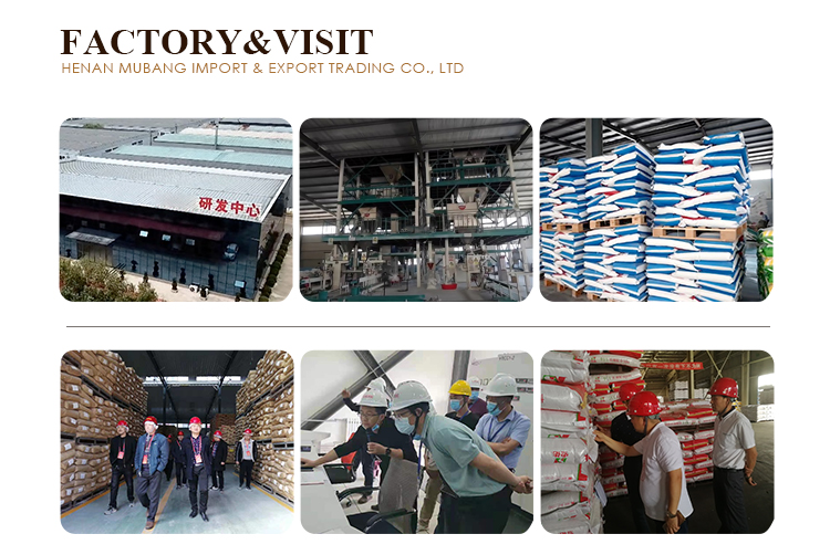 Operational Facilities 2