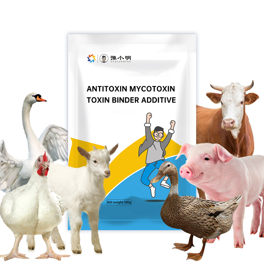 Antitoxin Mycotoxin Toxin Binder Additive for Poultry Turkey Chicken Livestock Animal Feed Supplement in Powder Form