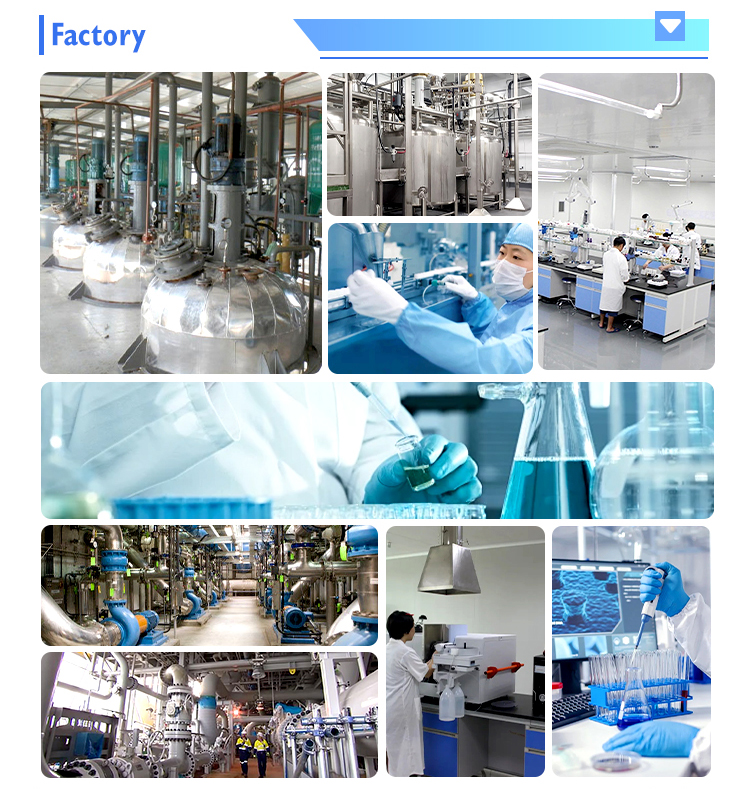 Lab and Quality 4