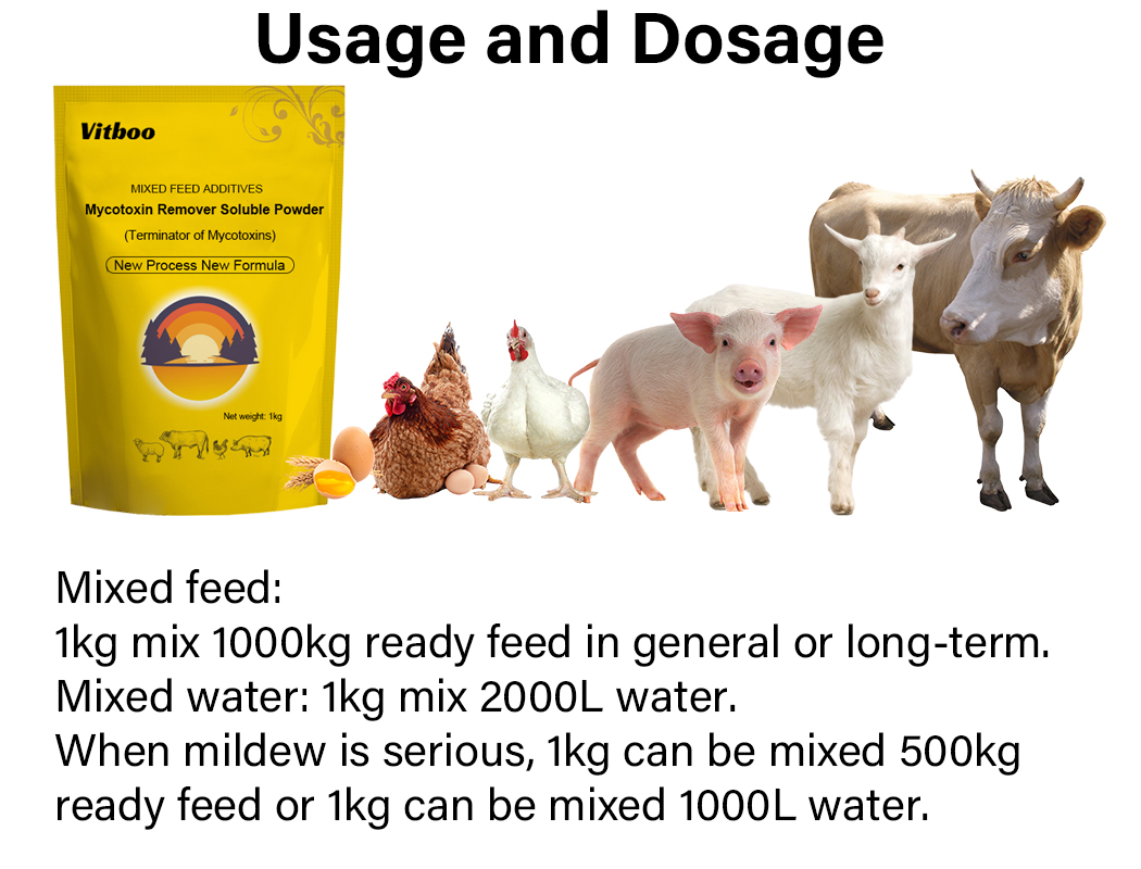 Product Details 3