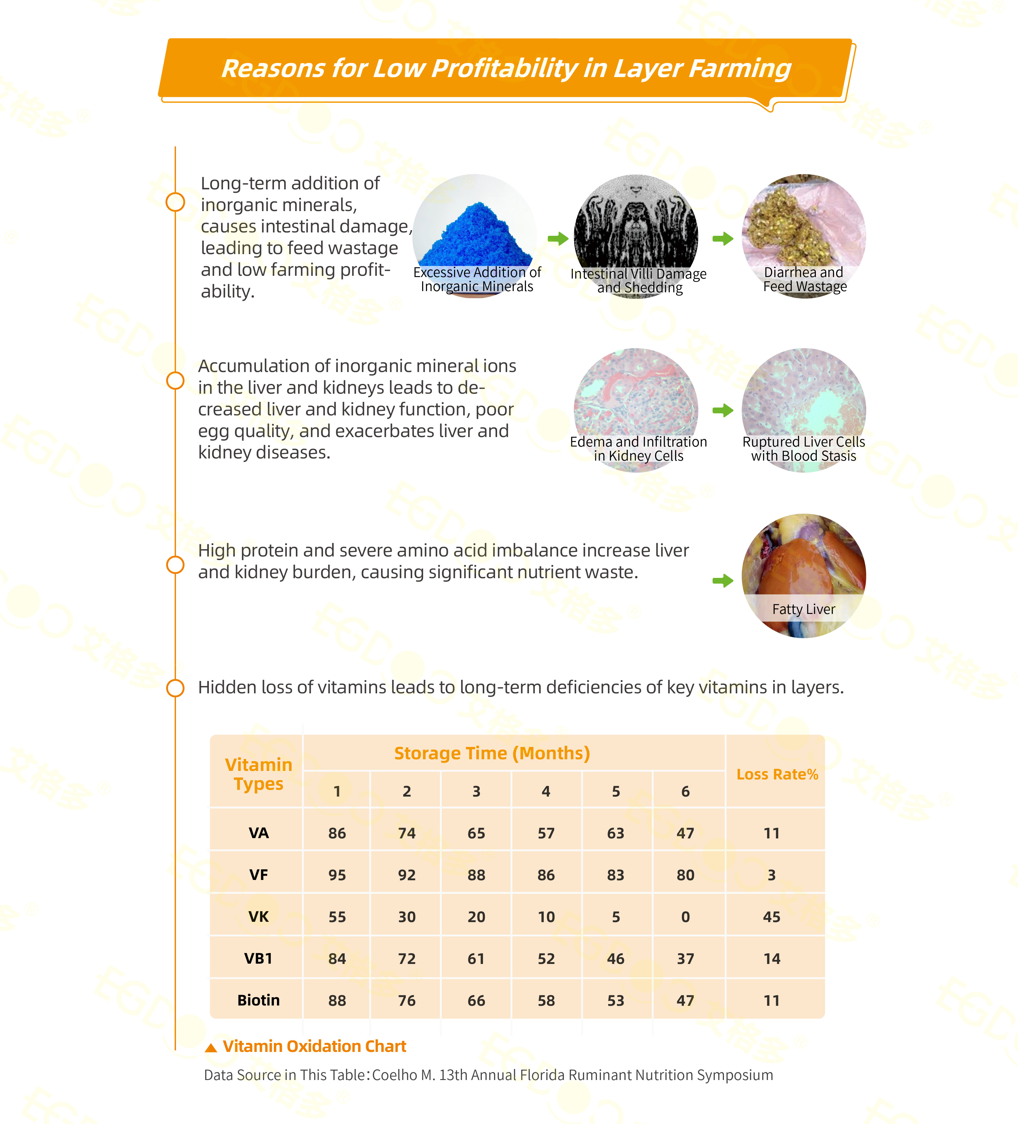 Laying Hen Nutrition Index