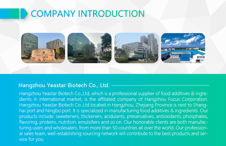 Company Overview 1