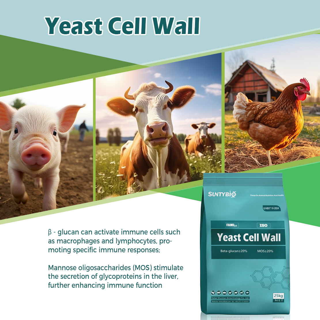 Feed Grade Mycotoxin Toxin Binder Yeast Cell Wall for Animal Feed Poultry Livestock Aquaculture