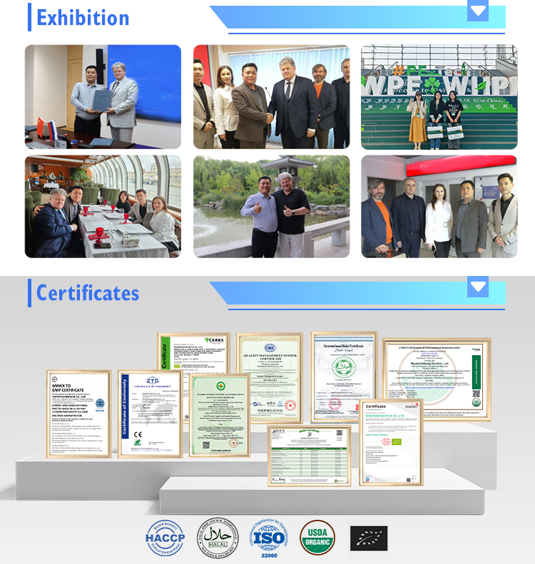 Lab and Quality 5