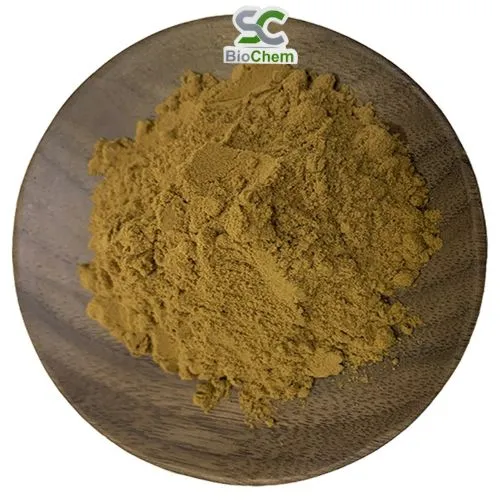 Plant Extract Natural Pure Sage Leaf Extract Sage Extract Powder Carnosic Acid Powder