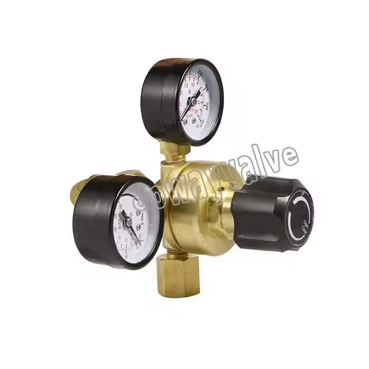 Customized Dual Stage 2 Gauges High Pressure Argon Pressure Regulator China Supplier