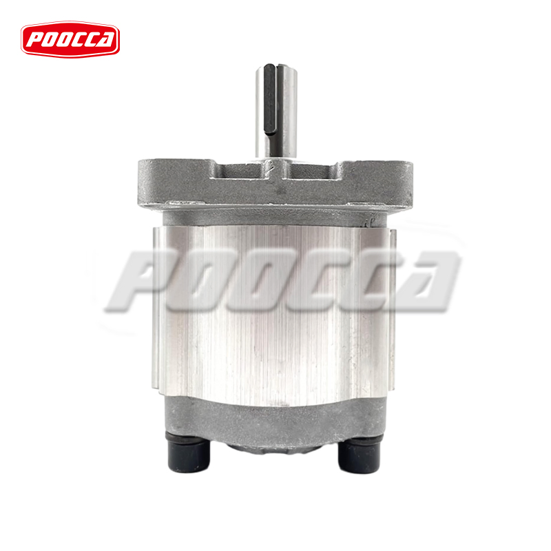 CBN-E310 CBN-F310 CBN Cbw Cbk Cbh Series Hydraulic Gear Pump Stainless Steel Gear Pump