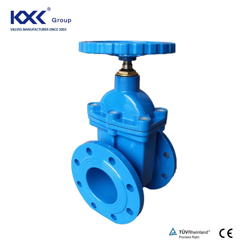 DIN BS ANSI Flange DN50-600 DIN3202 BS5163 F4 Gate Valve Brass Bonnet Di Body Resilient Seat Check Valve/Control Valve/Water Valve/Gate Valve