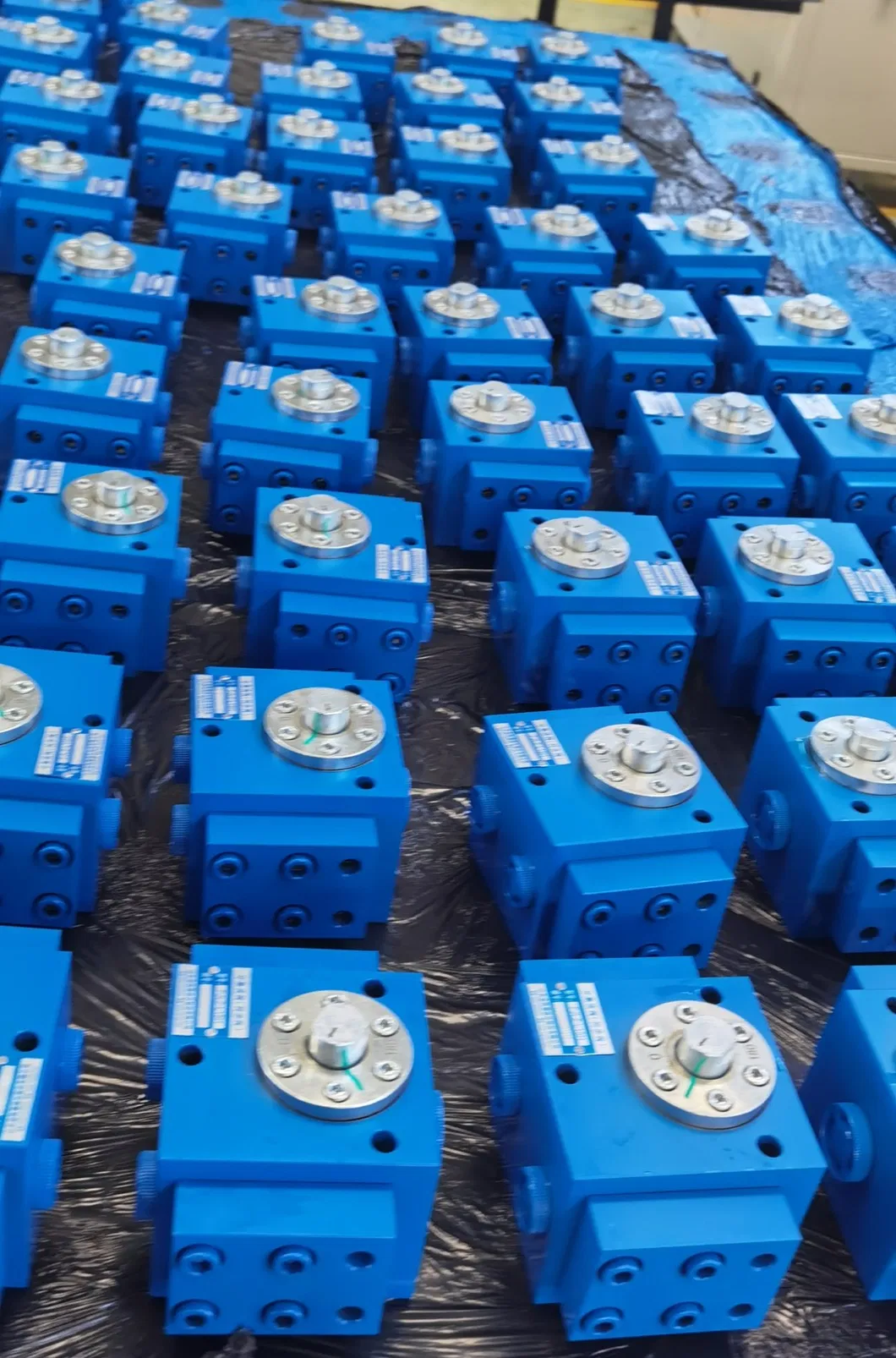 Diverter Collector Valve Detail