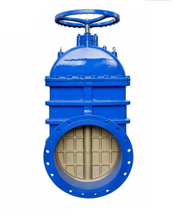 Durable Soft-Sealed Gate Valve with Enhanced Flow Control- Made-in China Price