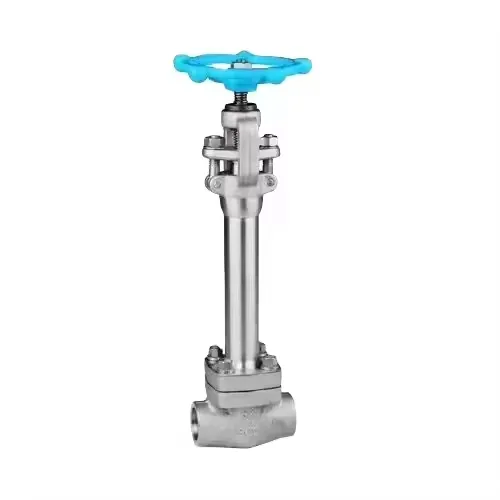 Cryogenic Globe Valve