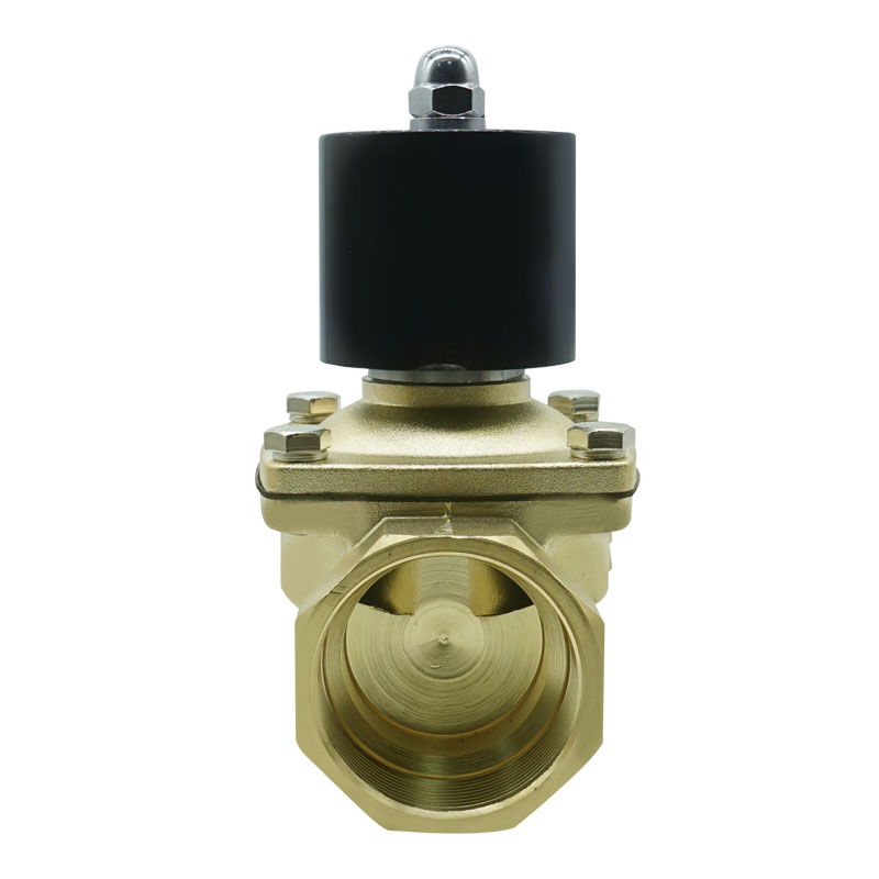 2W Series Normally Closed Waterproof 2-Way Direct Acting Solenoid Control Valve for Liquids AC220V DC12V DC24V