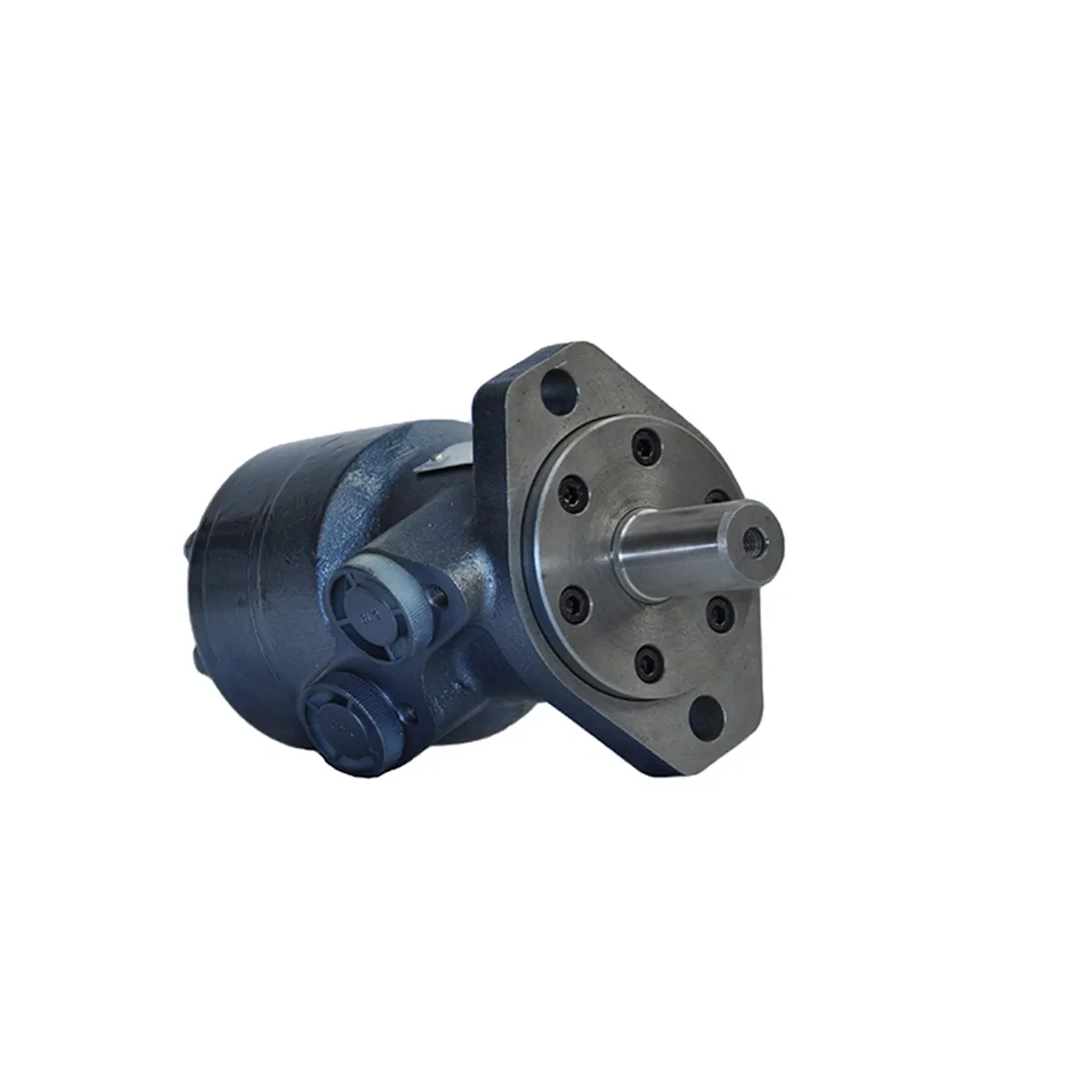Hydraulic Swing Motor From China Hms/2K/Oms/Mlhs 2K Oms 315 for Water Will Drill Machine