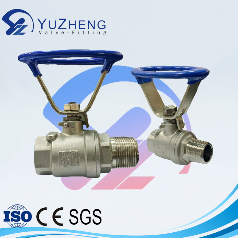 CE/ISO Stainless Steel 304/316/CF8/CF8m BSPT/BSPP/NPT Hydraulic Industrial Float Control 2PC Ball Valve with Oval Handle