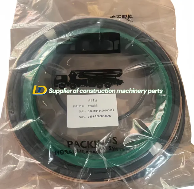 Hydraulic Seal Detail 3