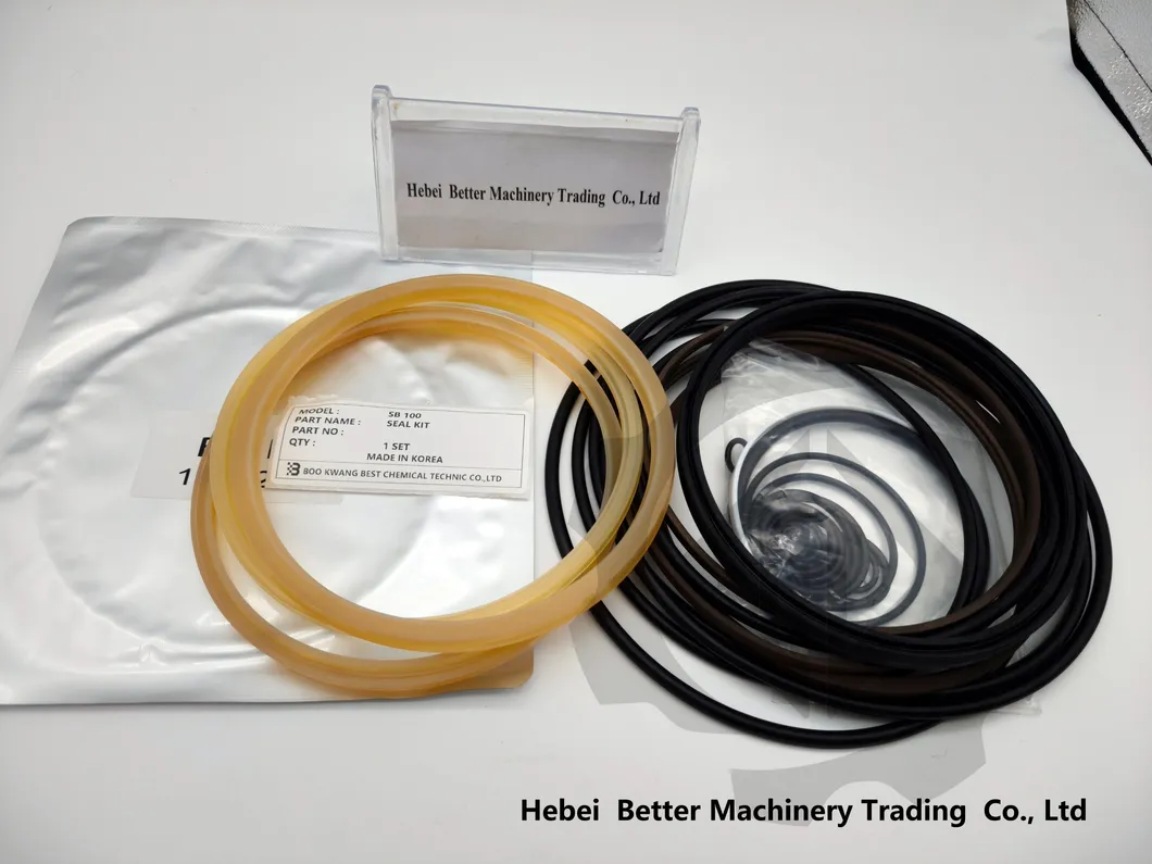 Oil Seal Kit