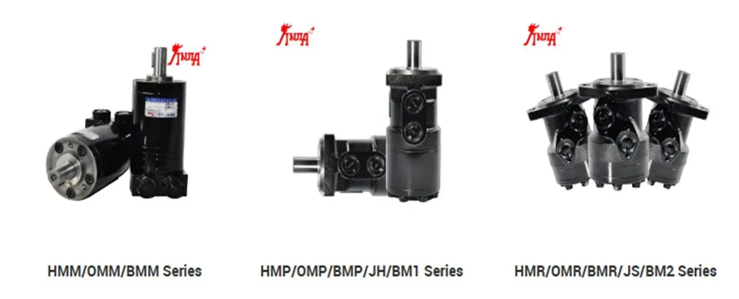 Hydraulic Motor Detailed View