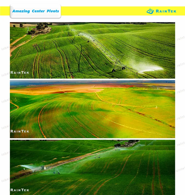 Pressure Regulator Display 3