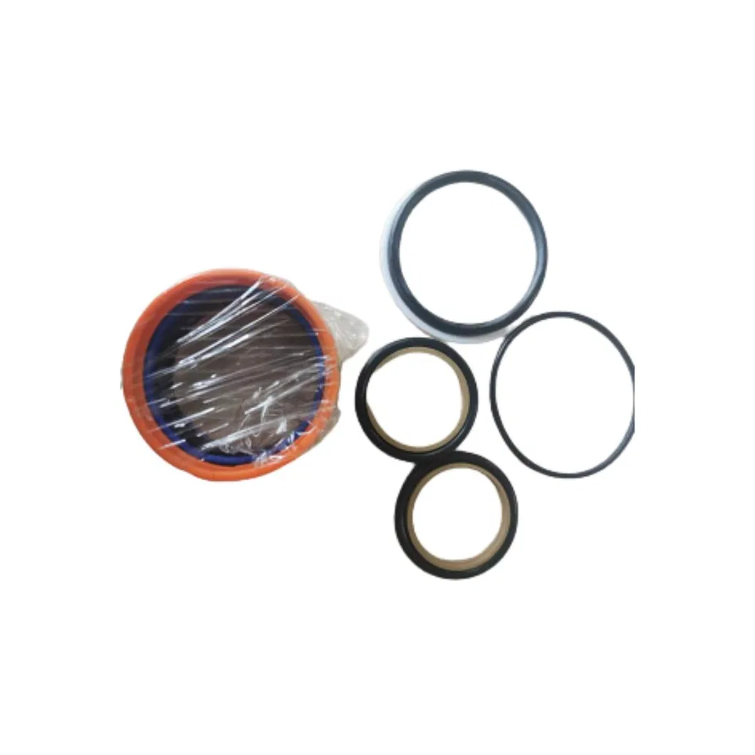 Oil Sealing Repair Kit