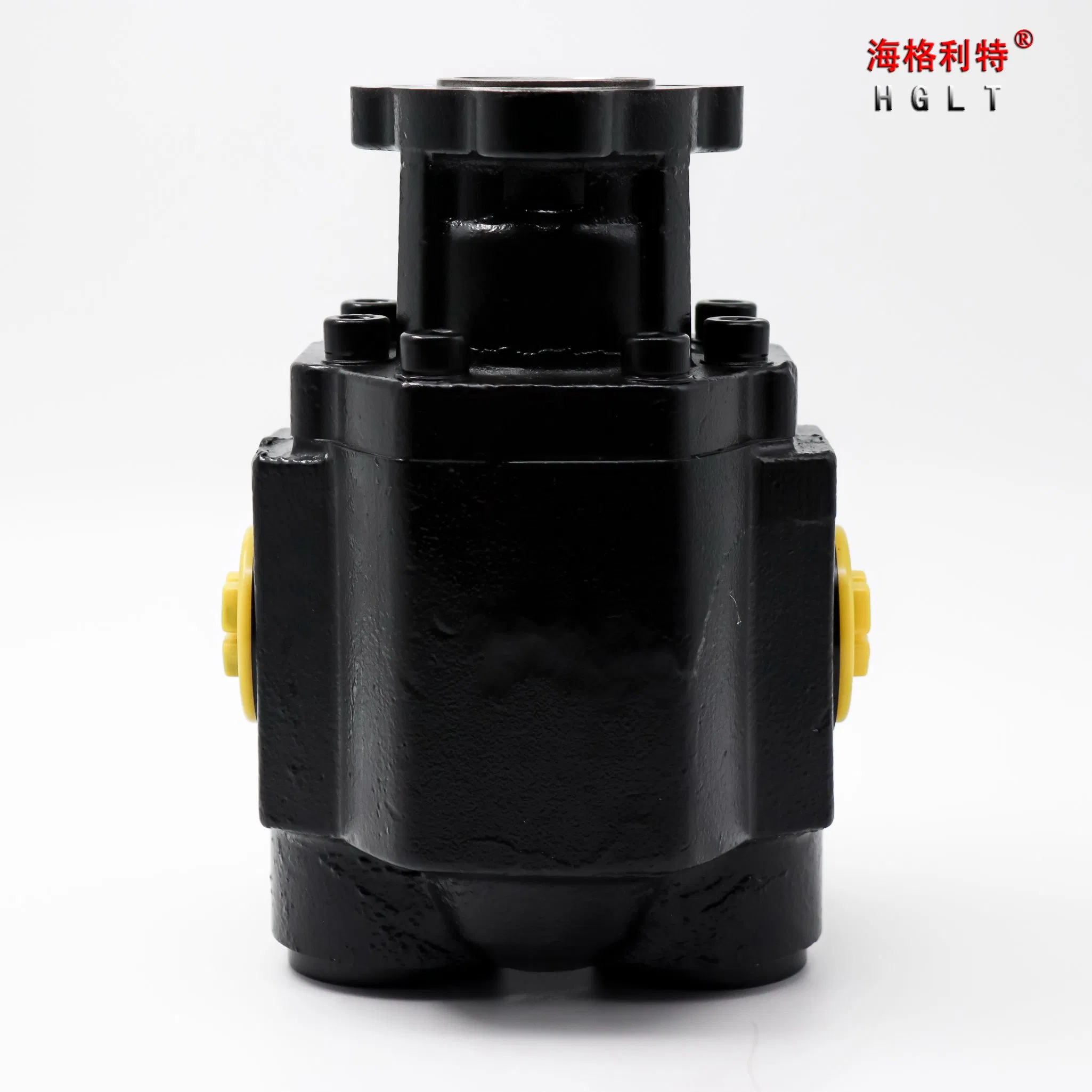 High Pressure Bi-Direction Steel Hydraulic Gear Pump for Tipper