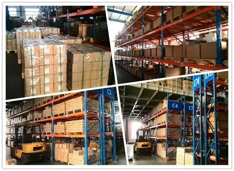 Packaging & Shipping