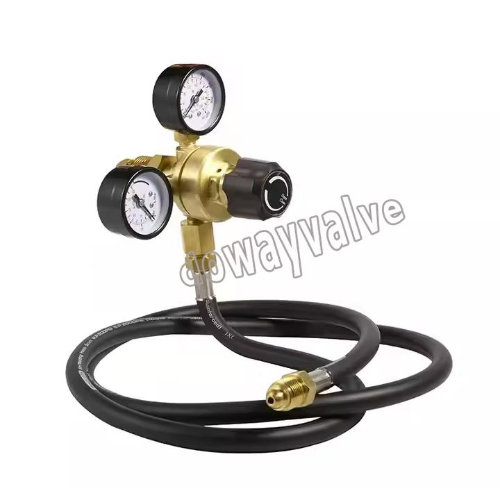 Customized Dual Stage 2 Gauges High Pressure Argon Pressure Regulator China Supplier