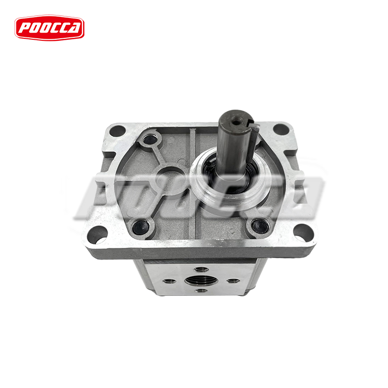 CBN-E310 CBN-F310 CBN Cbw Cbk Cbh Series Hydraulic Gear Pump Stainless Steel Gear Pump