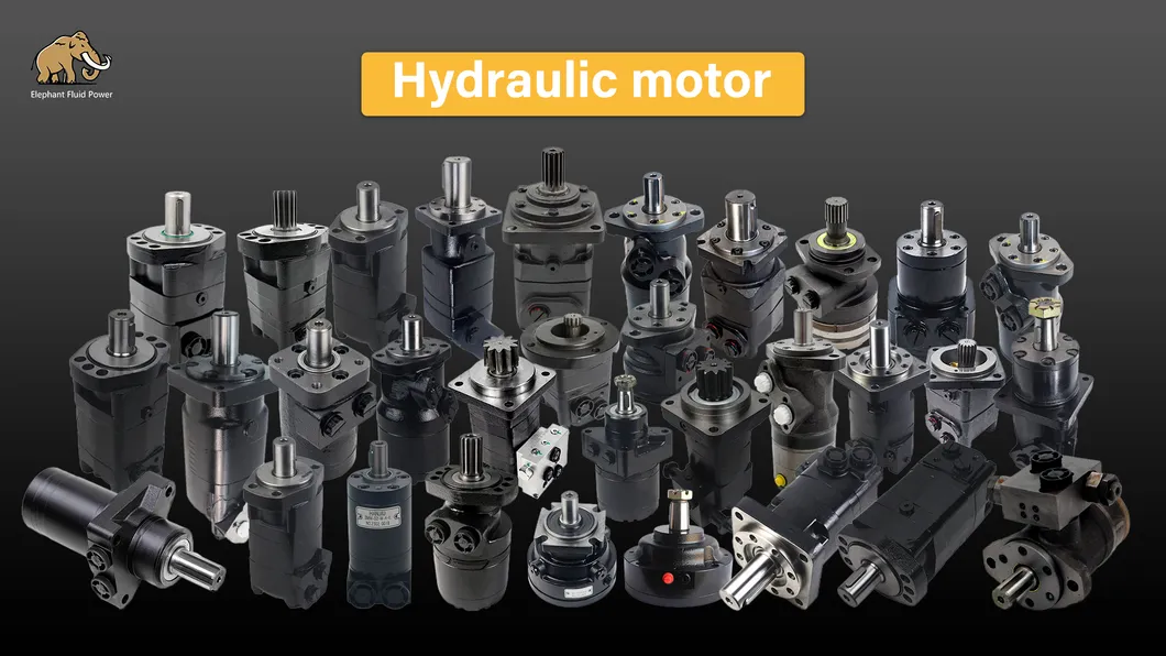 Other Hydraulic Motors