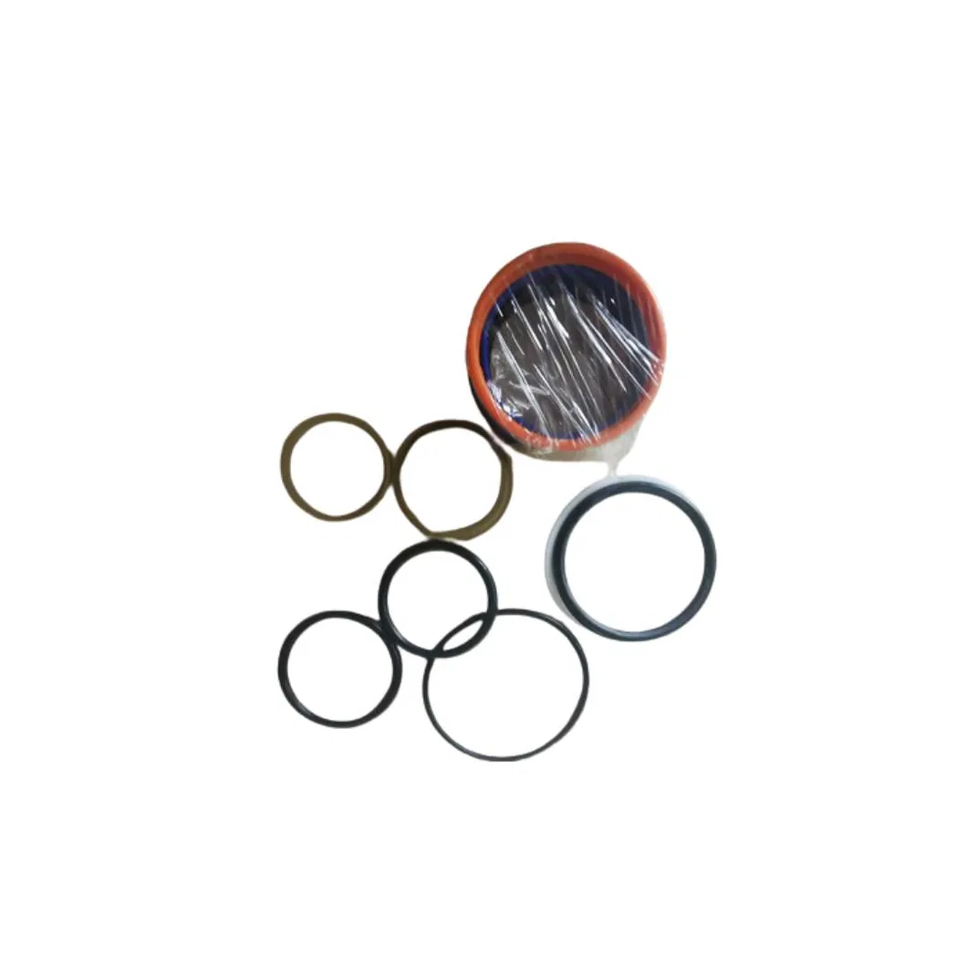 Hydraulic Cylinder Repair Kit 38870