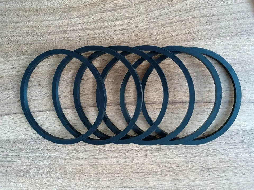 O Ring Seal Application