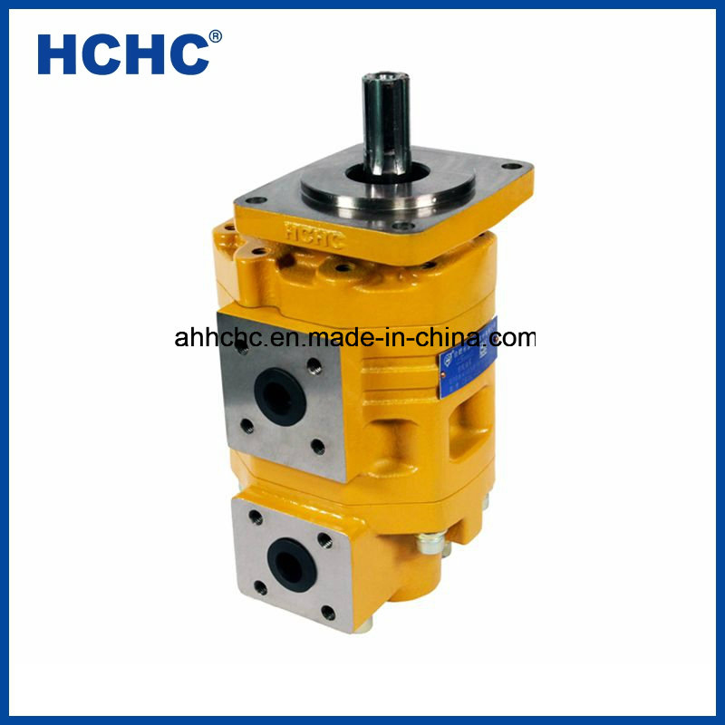 High Pressure China Hydraulic Double Gear Pump Cbgnl for Sale