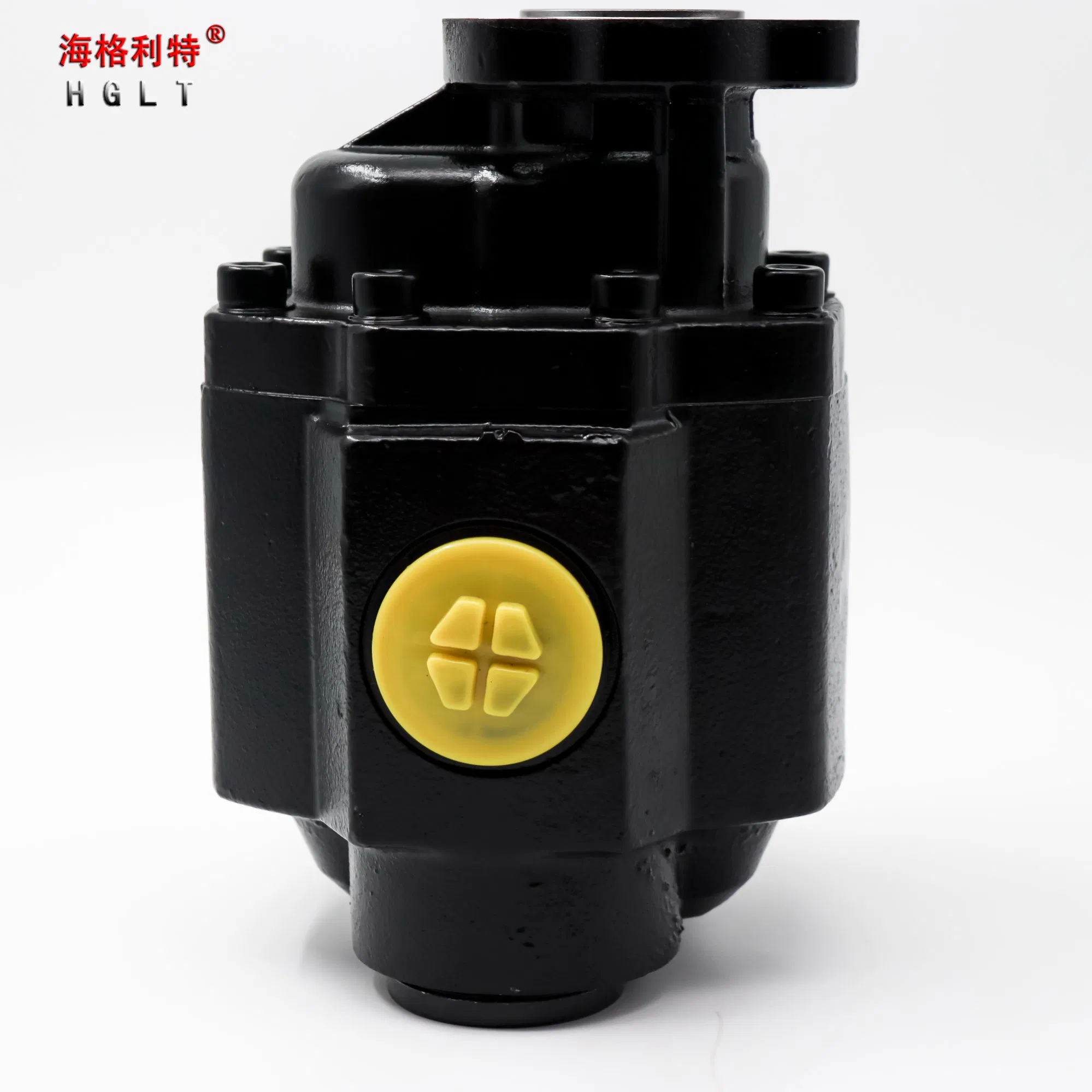 High Pressure Bi-Direction Steel Hydraulic Gear Pump for Tipper