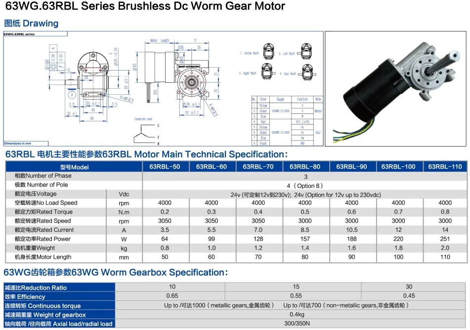 BLDC Worm Gear Motor Diagram