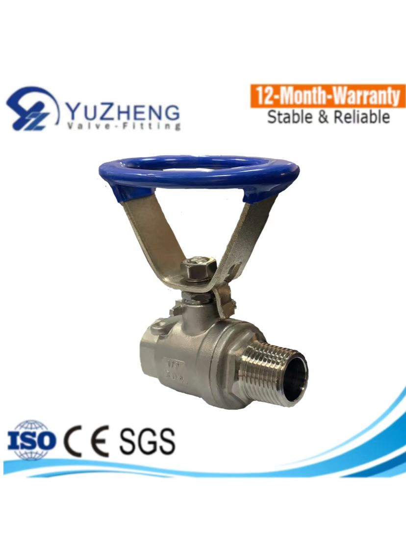 CE/ISO Stainless Steel 304/316/CF8/CF8m BSPT/BSPP/NPT Hydraulic Industrial Float Control 2PC Ball Valve with Oval Handle