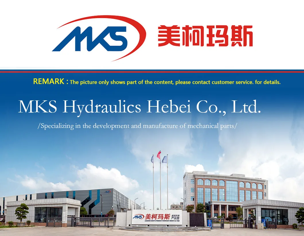 Hydraulic Pump Assembly