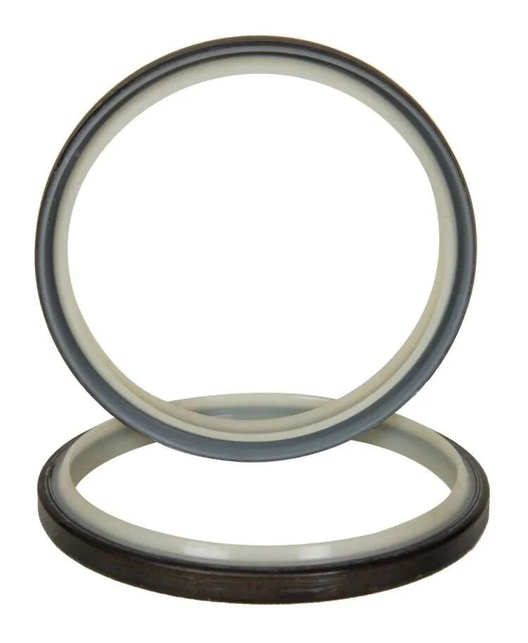 Excavator Seal Kit 1