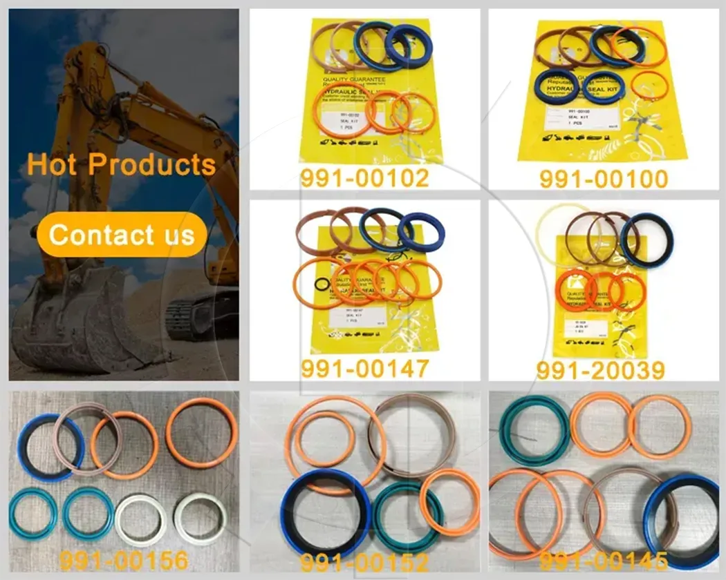 Hydraulic Main Pump Seal Kit