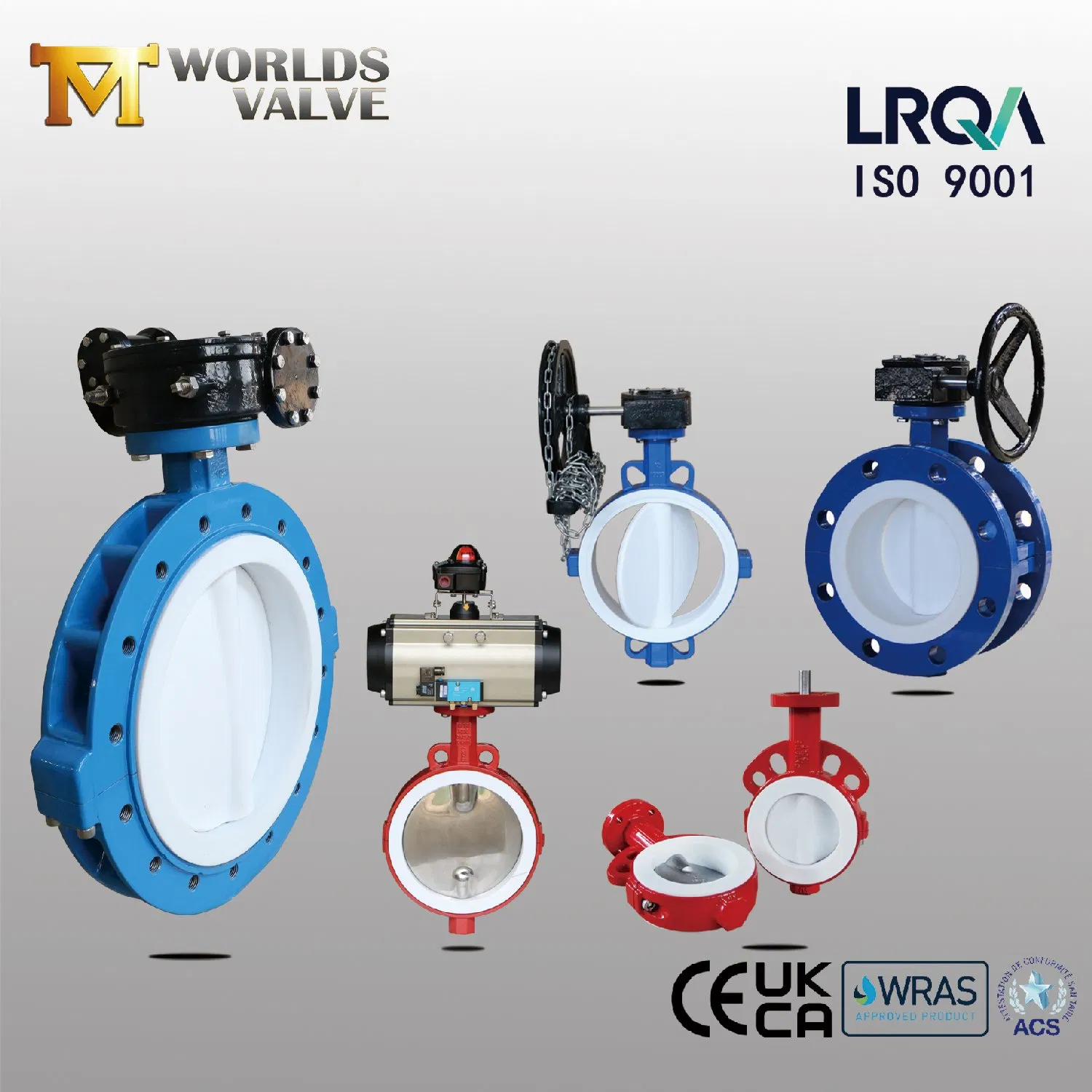 OEM ODM PTFE PFA Coaed Disc CF8 CF8m SS304 SS316 Wcb Bronze ANSI DIN JIS BS Standard Control Butterfly Valve Gate Valve Check Valve Y Strainer