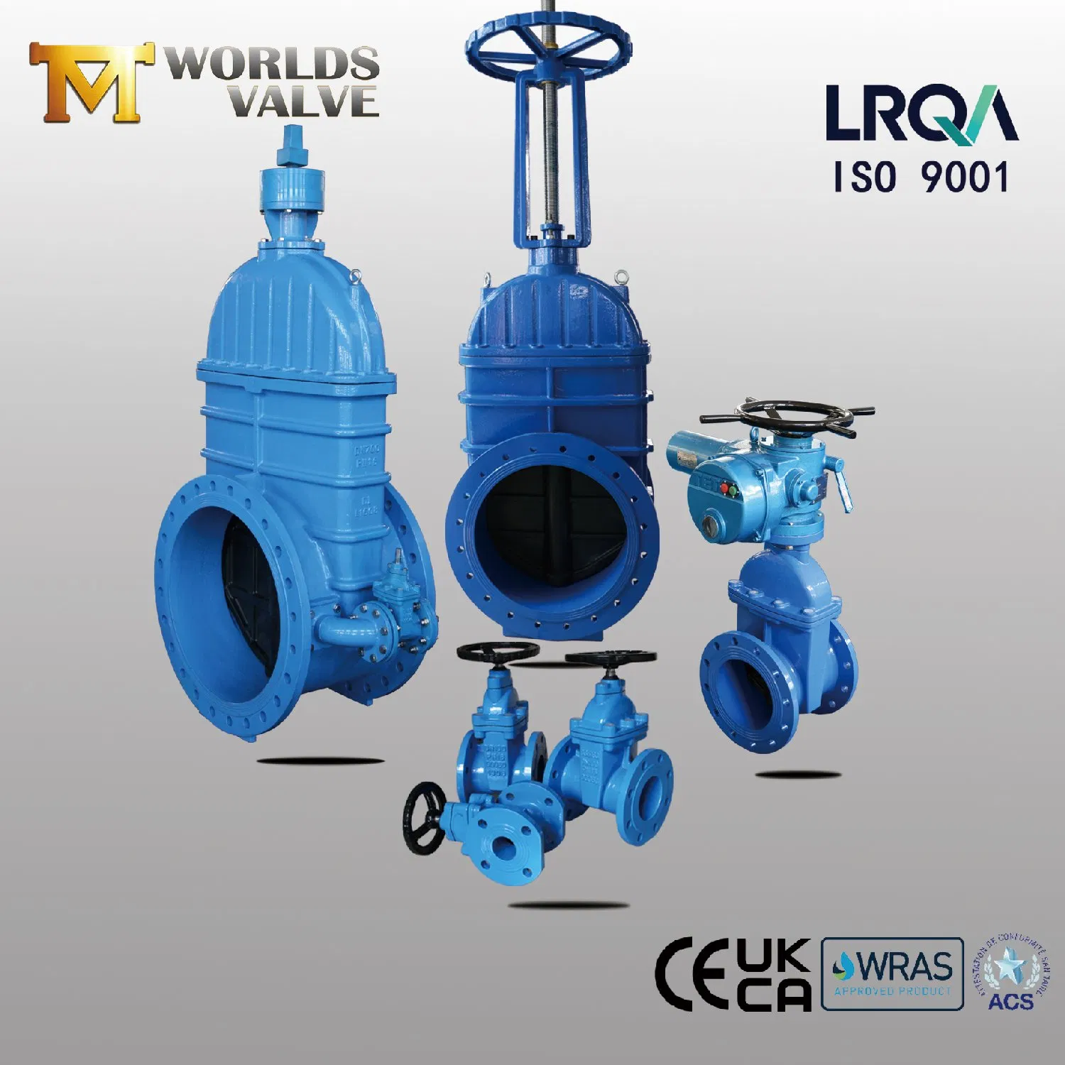 OEM ODM PTFE PFA Coaed Disc CF8 CF8m SS304 SS316 Wcb Bronze ANSI DIN JIS BS Standard Control Butterfly Valve Gate Valve Check Valve Y Strainer